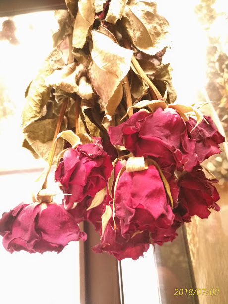 本数で変わってくる赤いバラの花言葉 と バラの活用方法 花かんざし Flowershop Paperdaisy