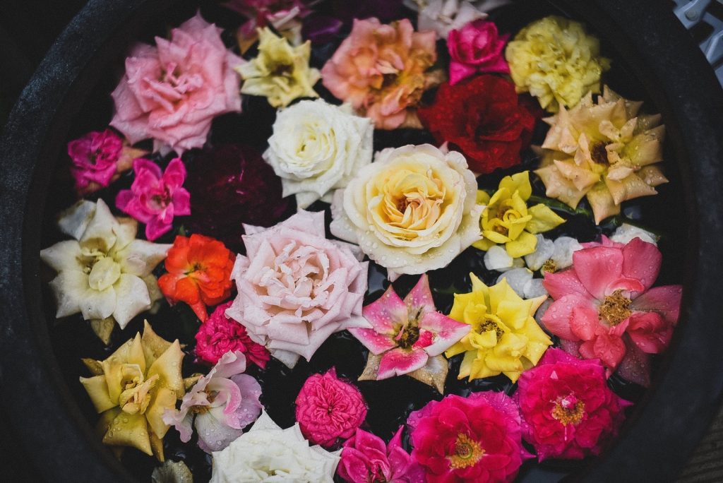 花言葉で色を選んでみて バラの色で変わる花言葉 花かんざしflowershop
