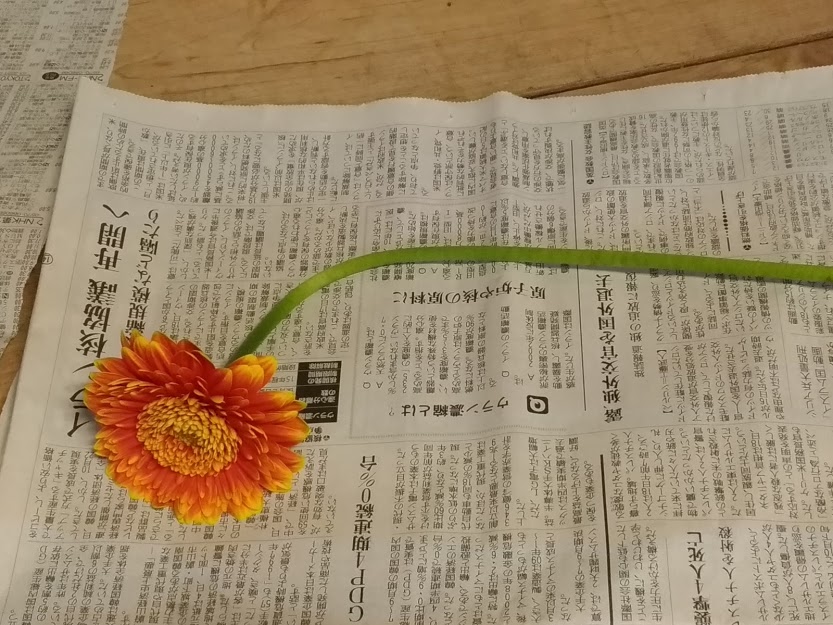 知らないと損をする ガーベラの花もちのコツと復活方法 花かんざし Flowershop Paperdaisy
