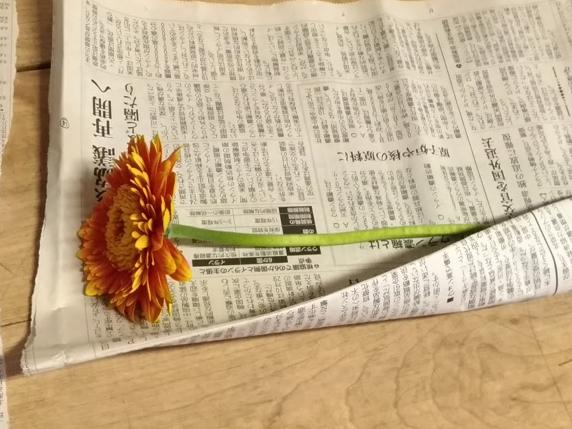 知らないと損をする ガーベラの花もちのコツと復活方法 花かんざし Flowershop Paperdaisy
